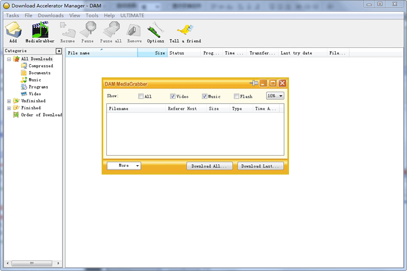 Download Accelerator Manager��ͼ5