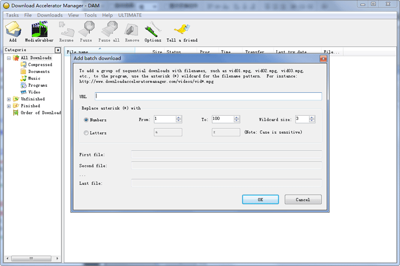 Download Accelerator Manager��ͼ4