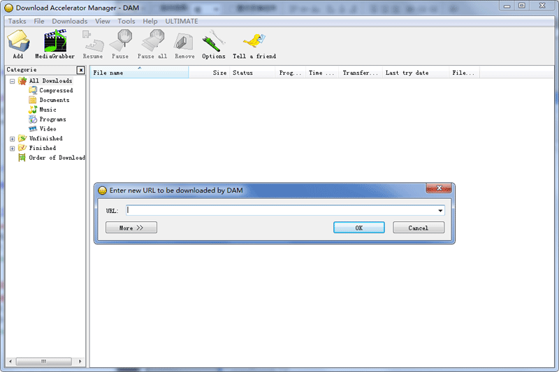 Download Accelerator Manager��ͼ6