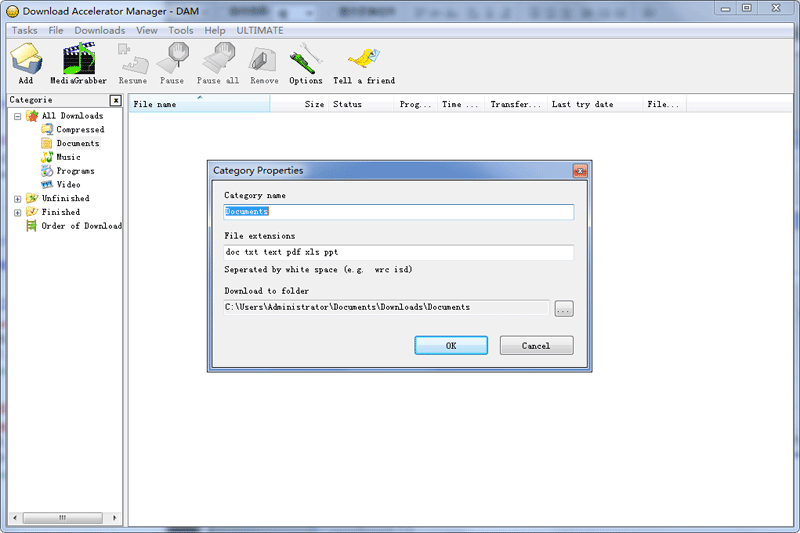 Download Accelerator Manager��ͼ3