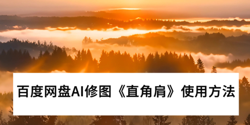2025ٶȾW(wng)PAIވDֱǼ硷ʹָϣV3.2.2ܣ