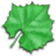Maple Readerv 1.01ٷʽ