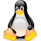 Linux Kernel