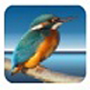 Highlightv3.53ٷʽ