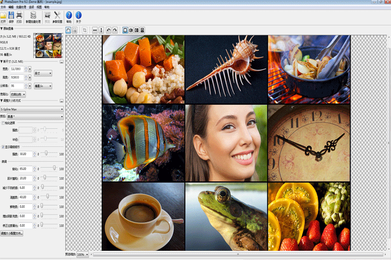 PhotoZoom Proͼ2