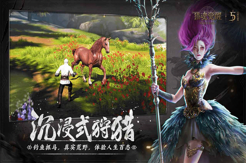 �Ի�������ε��԰��ͼ2