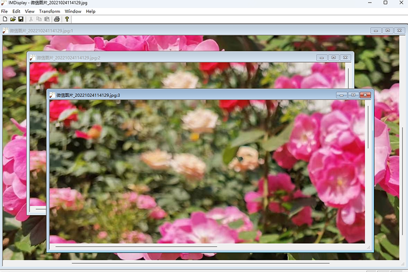 ImageMagickͼ4