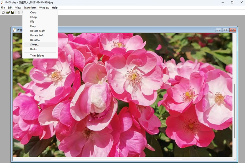ImageMagickͼ1