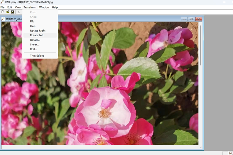ImageMagickͼ2