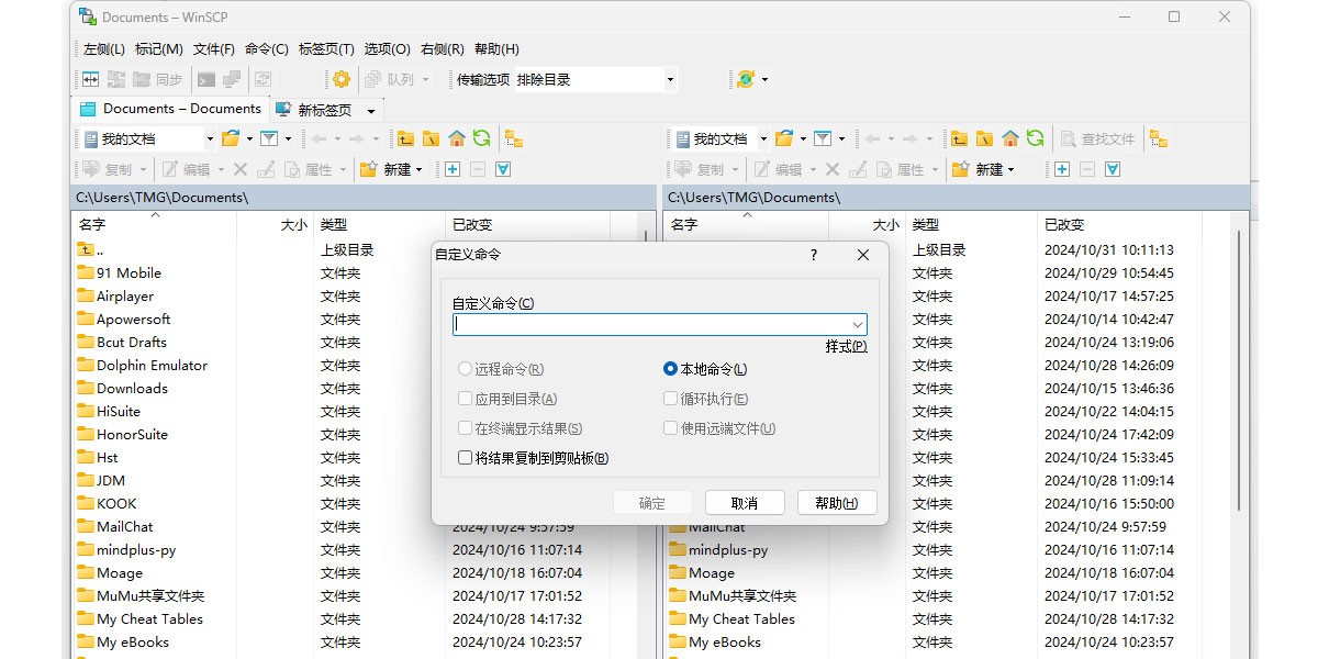 WinSCP(SFTPͻ)ͼ3
