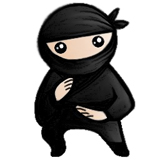System Ninjav4.0.1ٷʽ