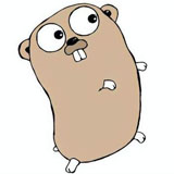 golang64λv1.24.3ٷʽ