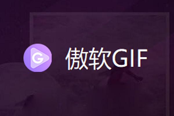 ����GIF¼������2025��ͼ1