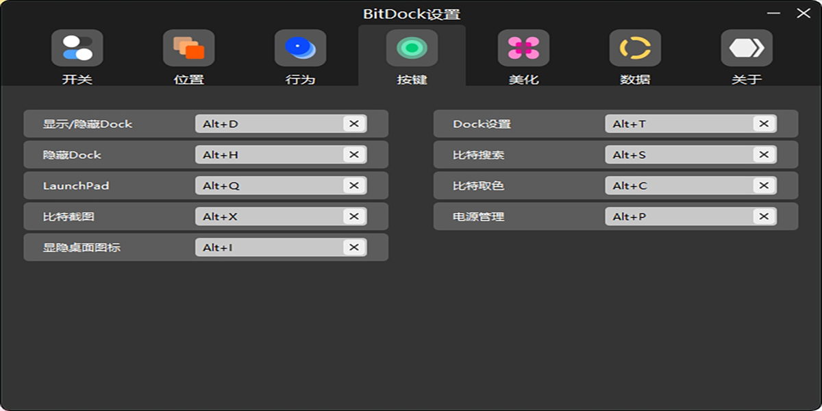 BitDockͼ1