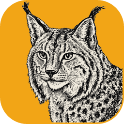 LightCraftv0.9.1�ٷ���ʽ��