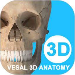 ά����3D����v7.0.0�ٷ���ʽ��