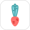 ���ʵ��v3.3.8�ٷ�